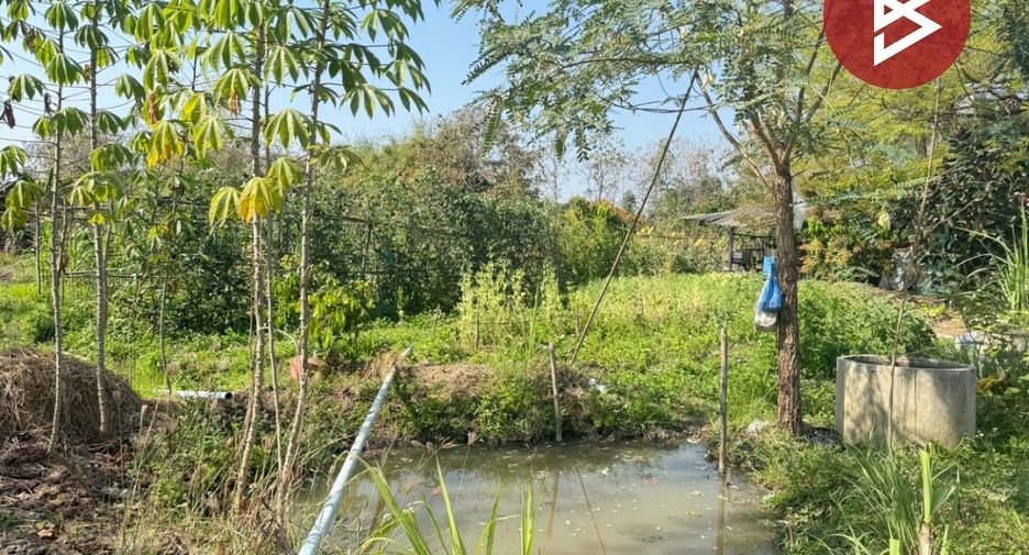Grundstück zum Kauf in San Kamphaeng, Chiang Mai