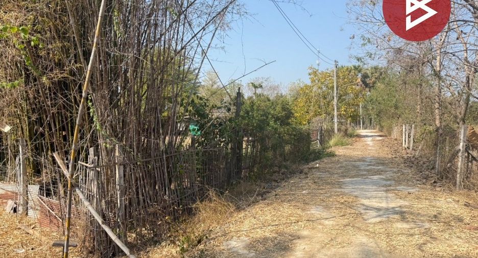 Grundstück zum Kauf in San Kamphaeng, Chiang Mai