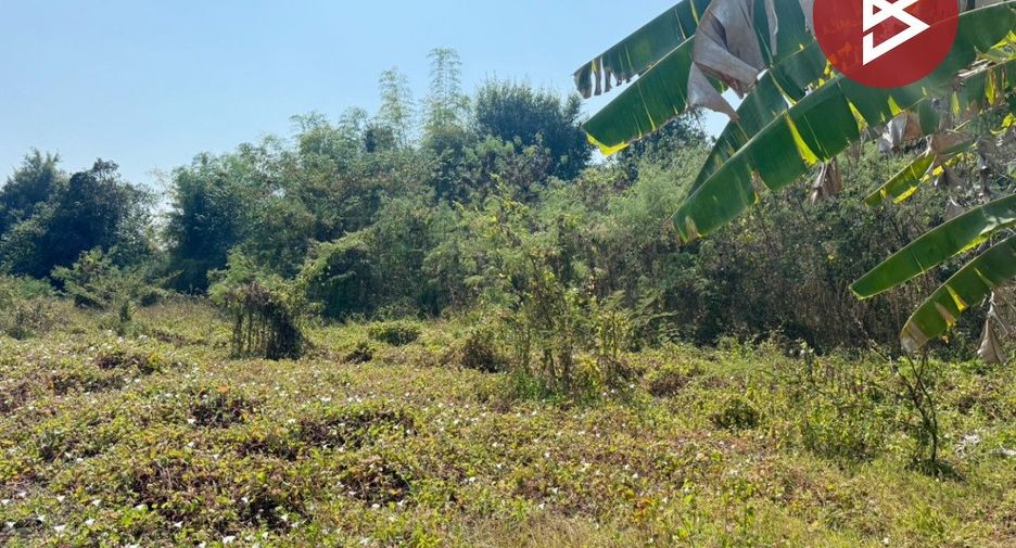 Grundstück zum Kauf in San Kamphaeng, Chiang Mai
