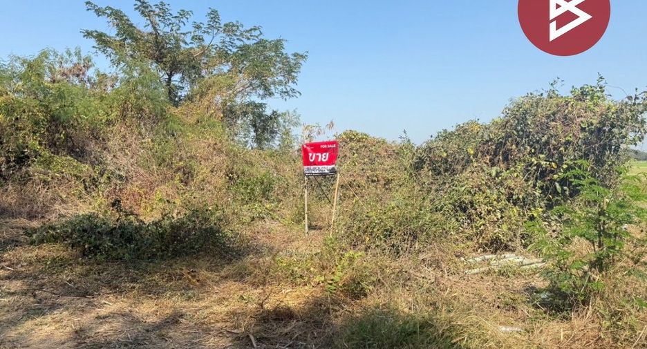 Grundstück zum Kauf in San Kamphaeng, Chiang Mai