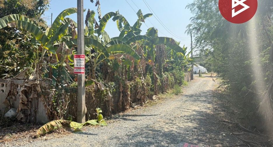 Grundstück zum Kauf in San Kamphaeng, Chiang Mai