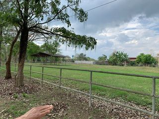 出售 土地 在 Pak Chong, Nakhon Ratchasima