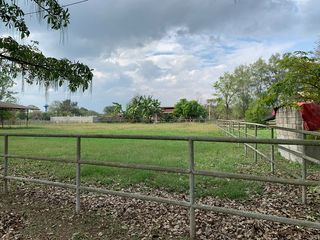 出售 土地 在 Pak Chong, Nakhon Ratchasima