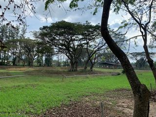 出售 土地 在 Pak Chong, Nakhon Ratchasima
