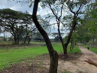 出售 土地 在 Pak Chong, Nakhon Ratchasima