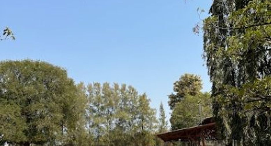 Продажа Участок в Pak Chong, Накхон Ратчасима