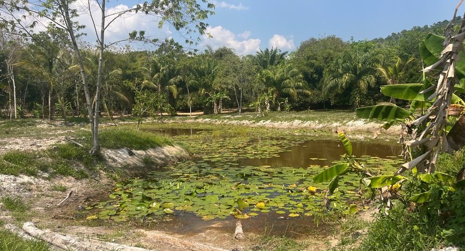 For sale land in Thai Mueang, Phang Nga