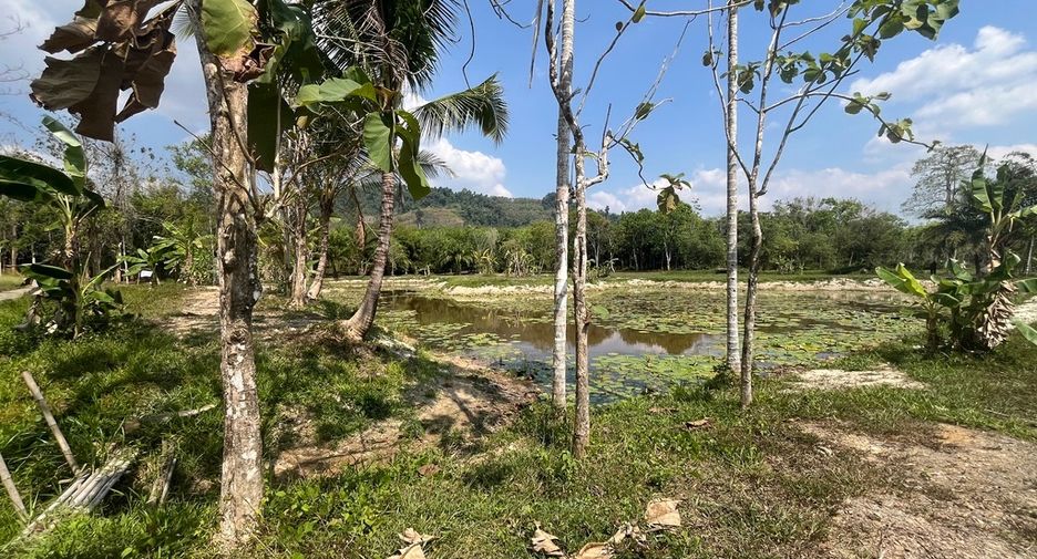 For sale land in Thai Mueang, Phang Nga