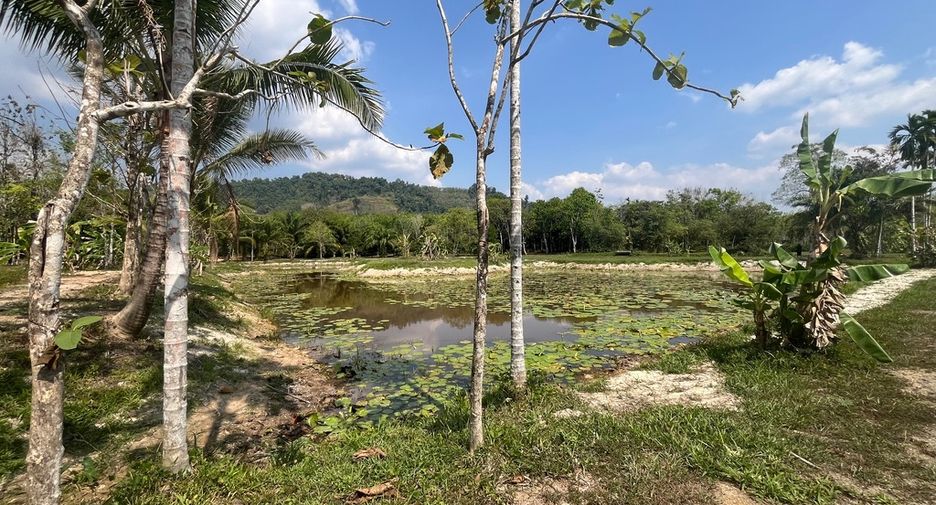 For sale land in Thai Mueang, Phang Nga