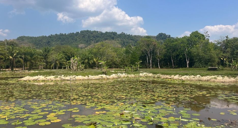 For sale land in Thai Mueang, Phang Nga