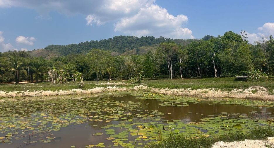 For sale land in Thai Mueang, Phang Nga
