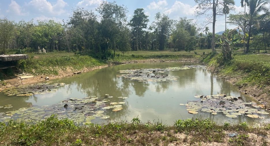 For sale land in Thai Mueang, Phang Nga