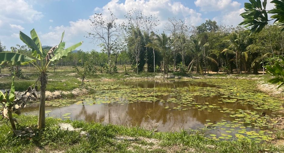 For sale land in Thai Mueang, Phang Nga
