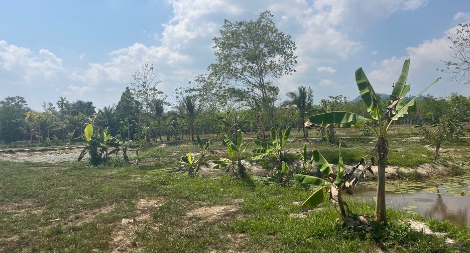 For sale land in Thai Mueang, Phang Nga