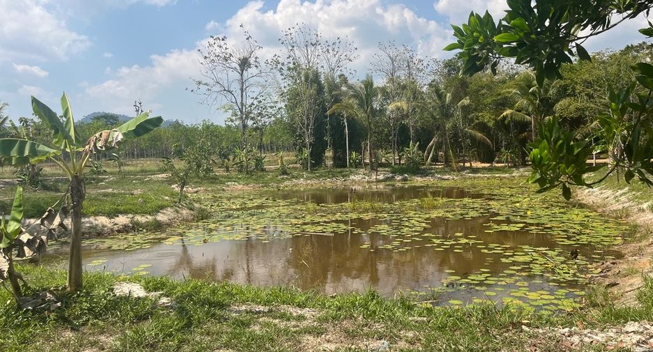 For sale land in Thai Mueang, Phang Nga