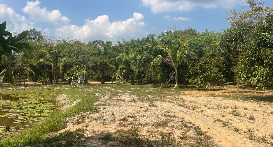 For sale land in Thai Mueang, Phang Nga