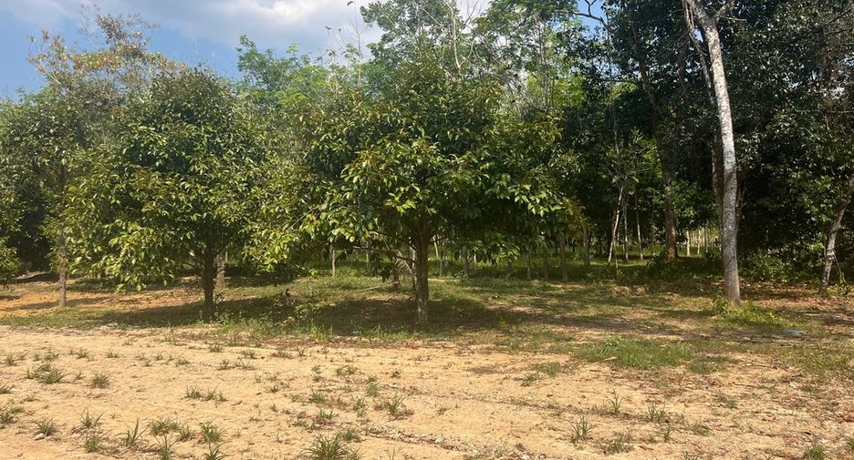 For sale land in Thai Mueang, Phang Nga