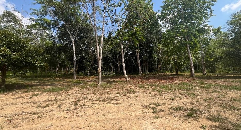 For sale land in Thai Mueang, Phang Nga