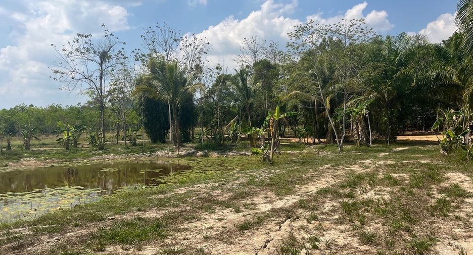 For sale land in Thai Mueang, Phang Nga