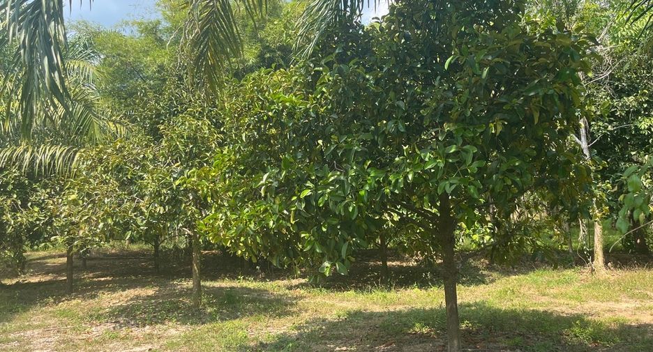 For sale land in Thai Mueang, Phang Nga