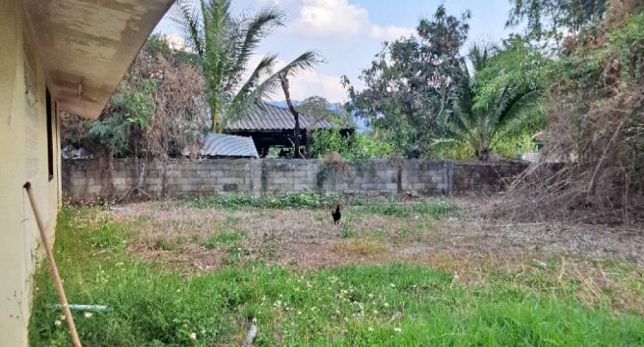 For sale 3 bedrooms house in Khun Tan, Chiang Rai