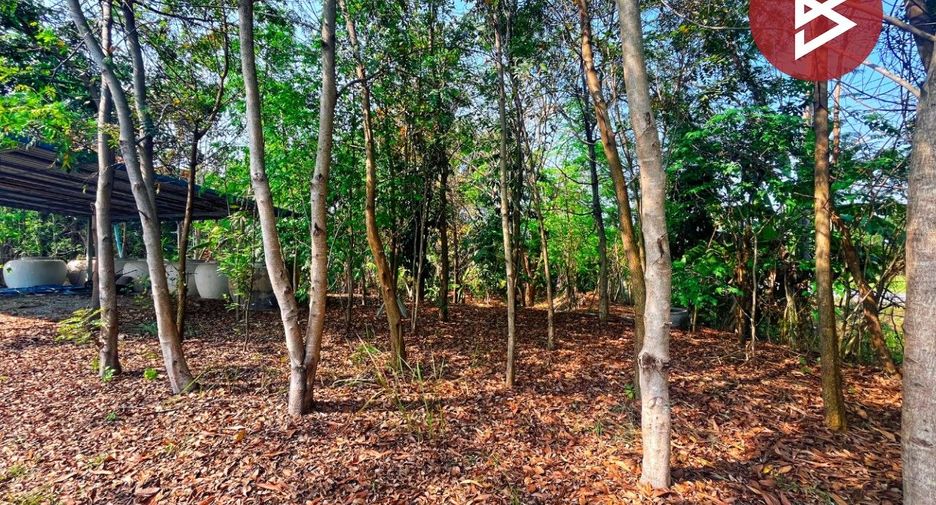 For sale 2 bedrooms house in Nong Chang, Uthai Thani