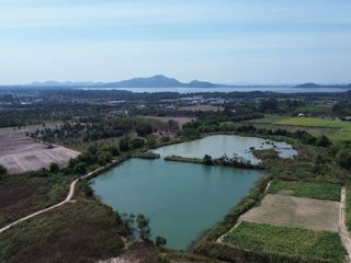 ให้เช่า ที่ดิน ใน ศรีราชา, ชลบุรี