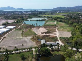 ให้เช่า ที่ดิน ใน ศรีราชา, ชลบุรี