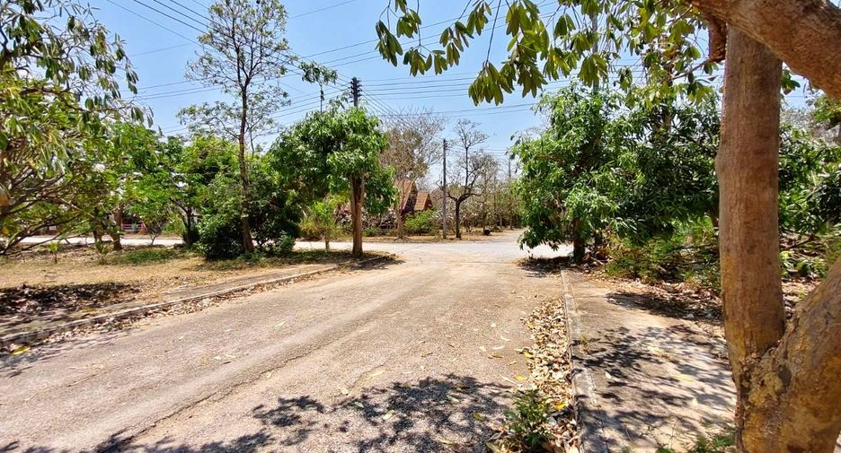 ขาย ที่ดิน ใน เมืองเพชรบุรี, เพชรบุรี
