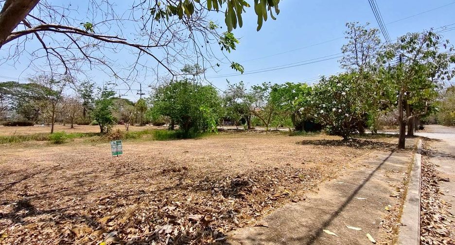 ขาย ที่ดิน ใน เมืองเพชรบุรี, เพชรบุรี