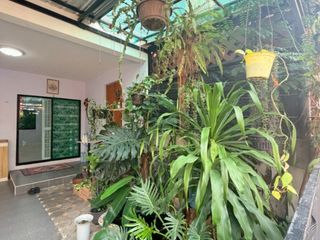 Reihenhaus zum Kauf mit 2 Zimmer in Si Racha, Chonburi