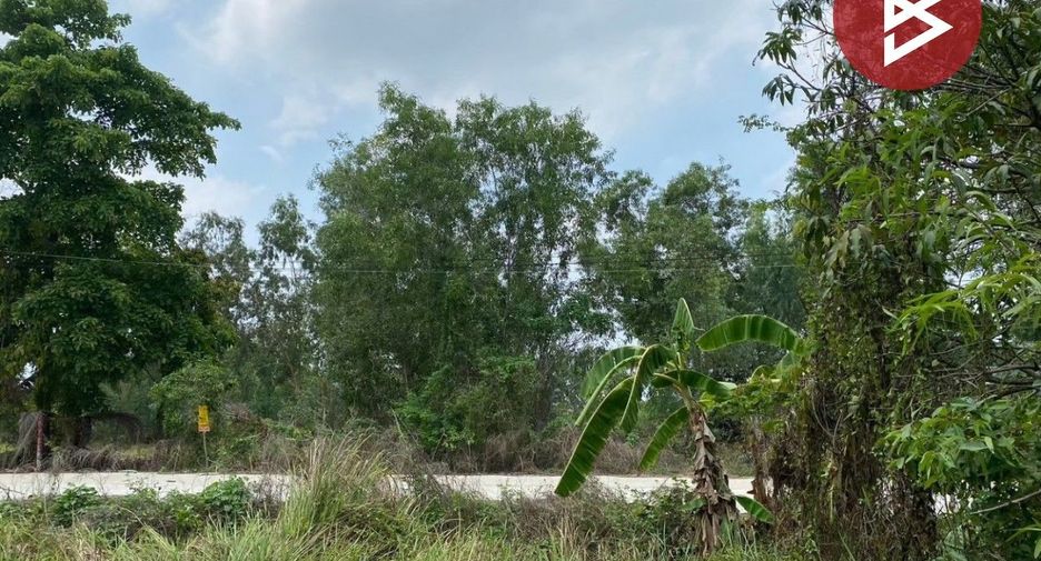 Terreno en venta en Nong Suea, Pathum Thani