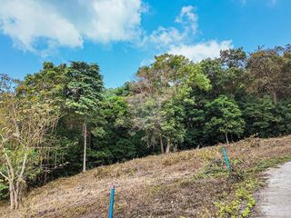 For sale land 