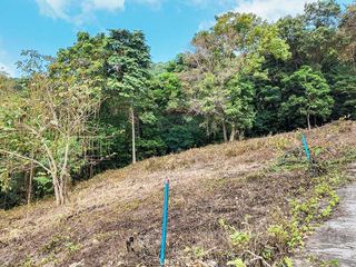 For sale land 