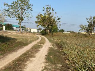 ขาย ที่ดิน ใน นิคมพัฒนา, ระยอง