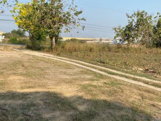 ขาย ที่ดิน ใน นิคมพัฒนา, ระยอง