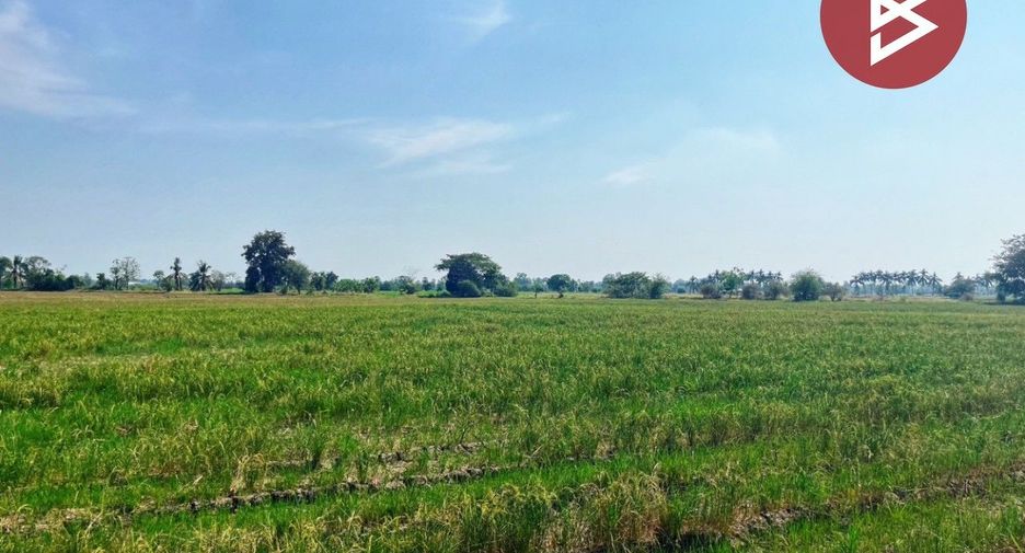 For sale land in Sapphaya, Chainat