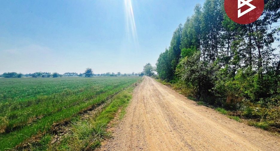 For sale land in Sapphaya, Chainat