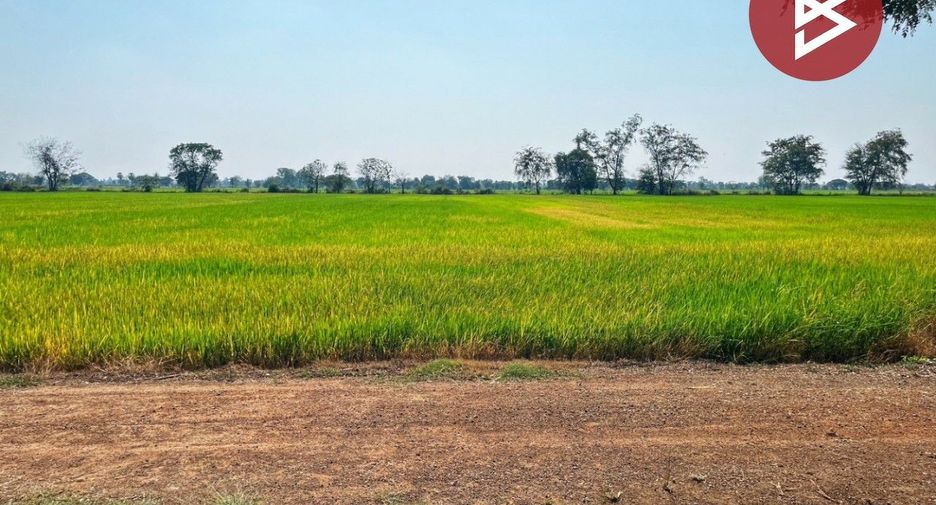 For sale land in Sapphaya, Chainat