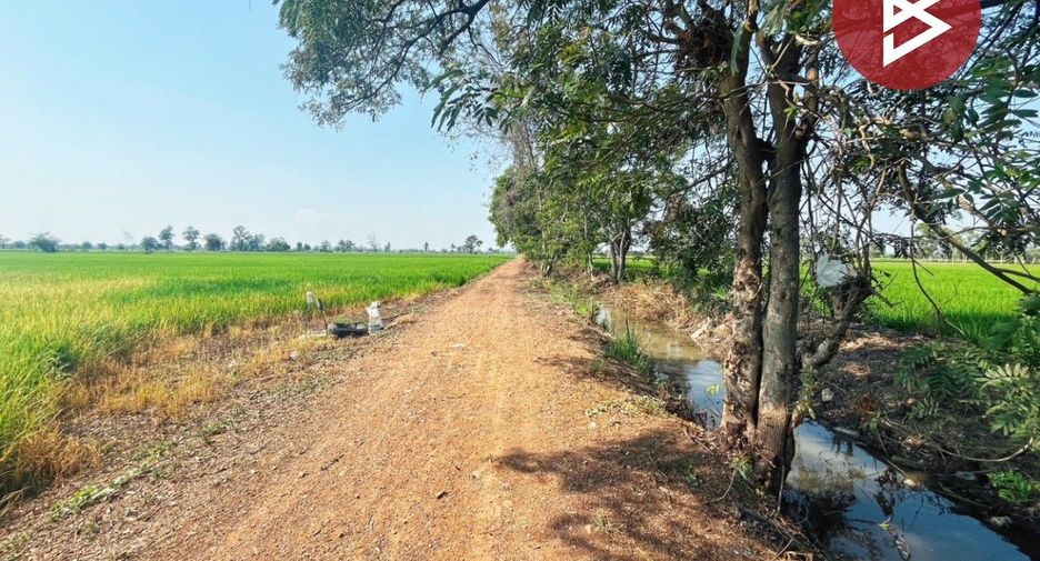For sale land in Sapphaya, Chainat