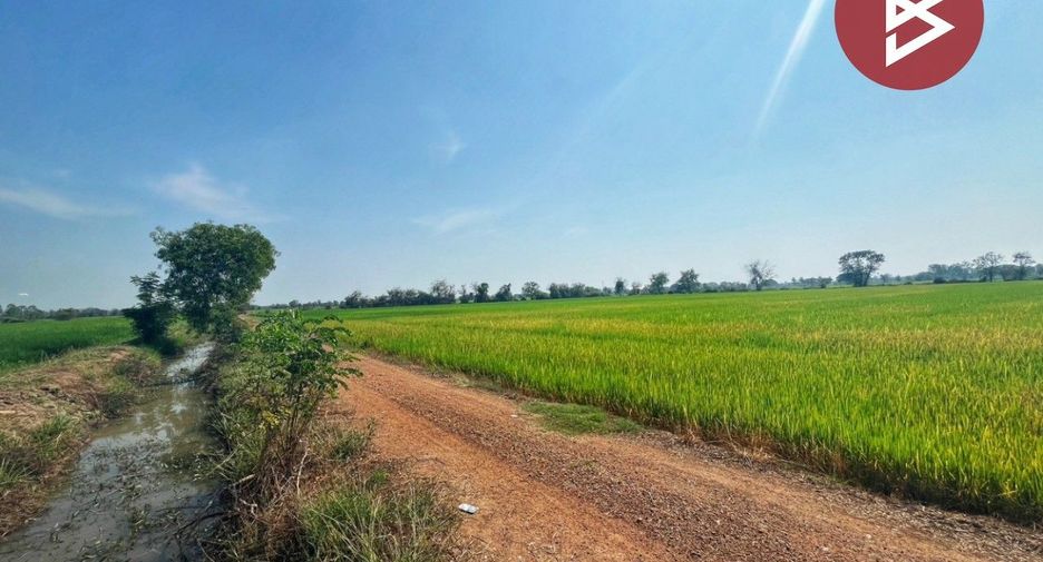 For sale land in Sapphaya, Chainat