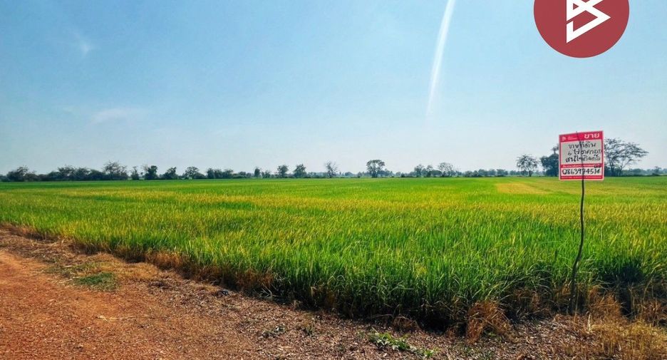 For sale land in Sapphaya, Chainat