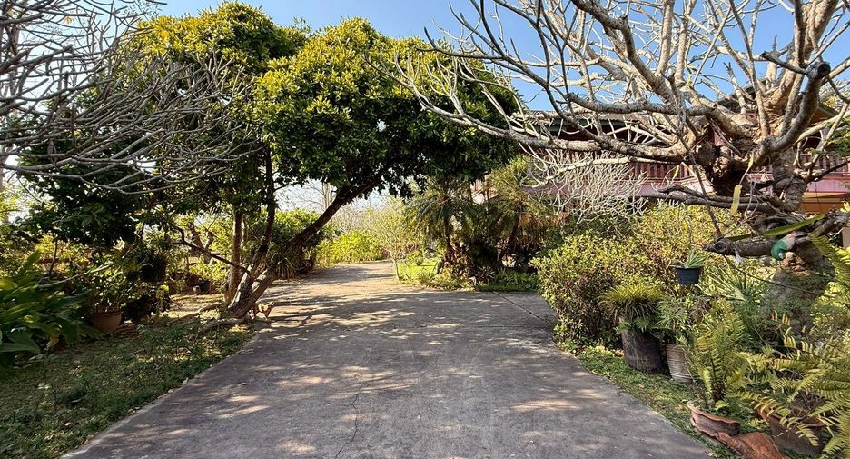 For sale 5 bedrooms house in Mae Rim, Chiang Mai