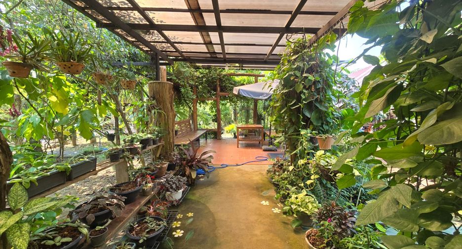 À vendre terrain à Sai Yok, Kanchanaburi