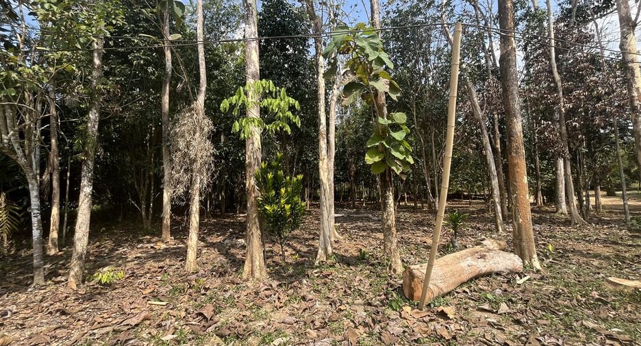 For sale land in Thai Mueang, Phang Nga