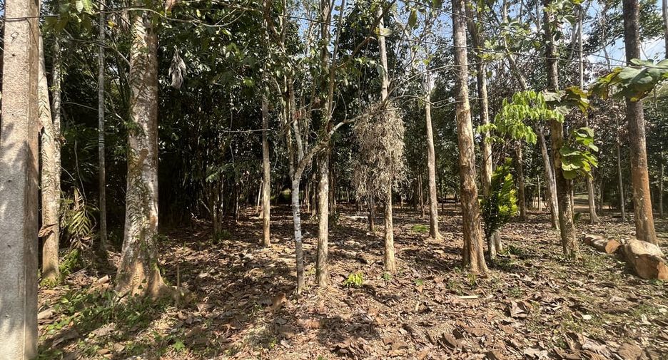 For sale land in Thai Mueang, Phang Nga