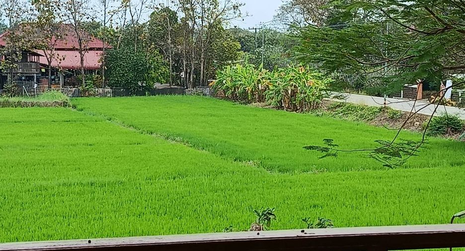 À vendre 3 chambres maison à San Kamphaeng, Chiang Mai