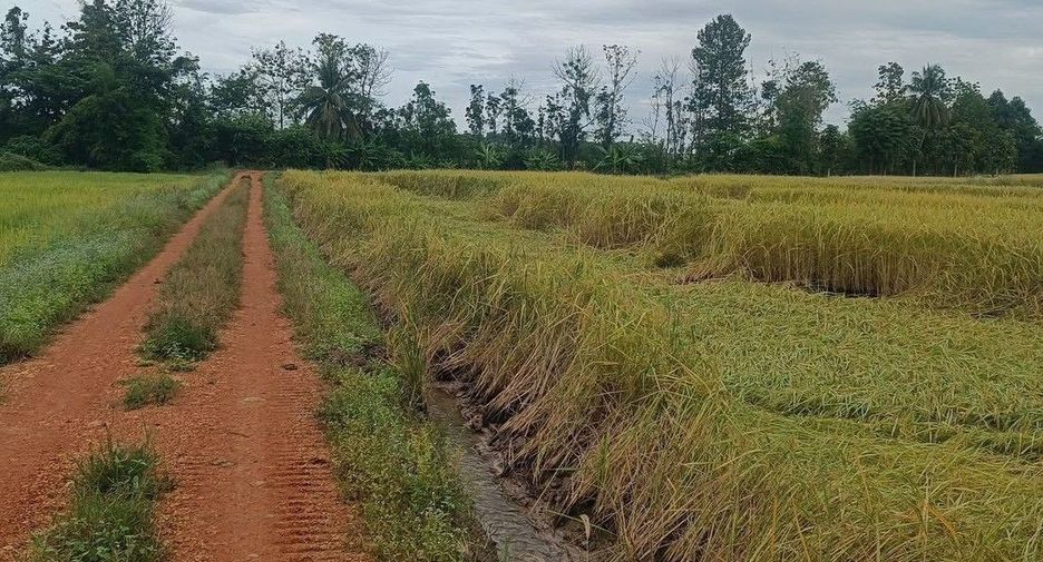 For sale land in Mueang Phetchabun, Phetchabun