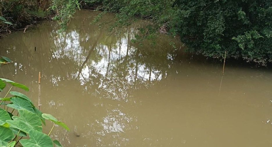 For sale land in Mueang Phetchabun, Phetchabun