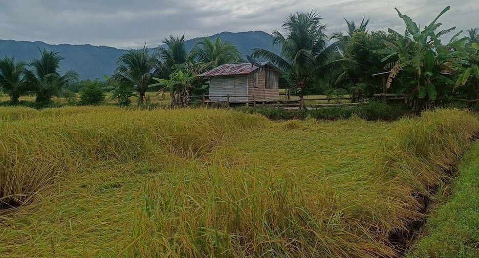 For sale land in Mueang Phetchabun, Phetchabun
